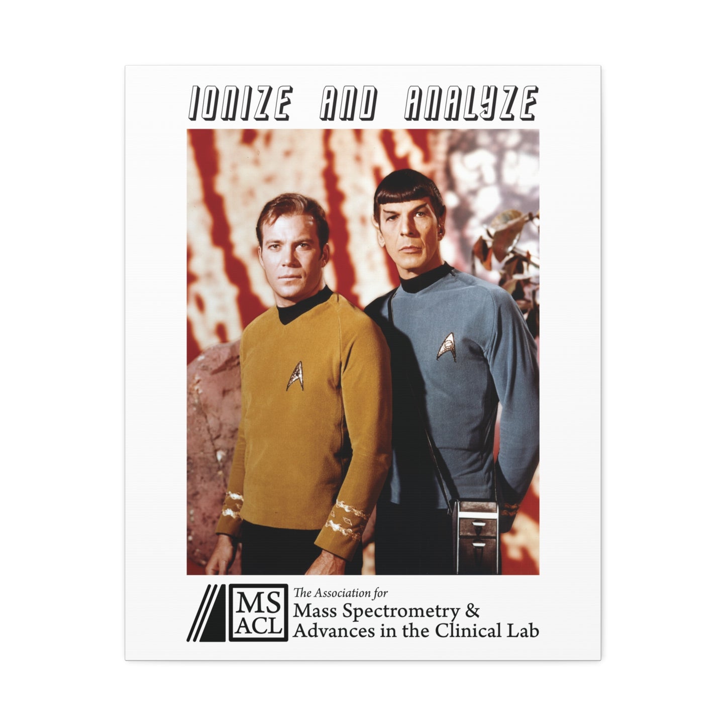 "Ionize and Analyze" MSACL Promo Poster on Stretched Cotton Canvas