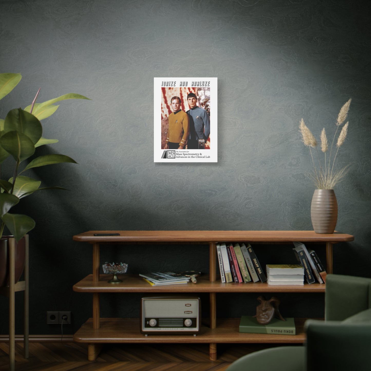 "Ionize and Analyze" MSACL Promo Poster on Matte Cotton/Poly Canvas. 1.25"