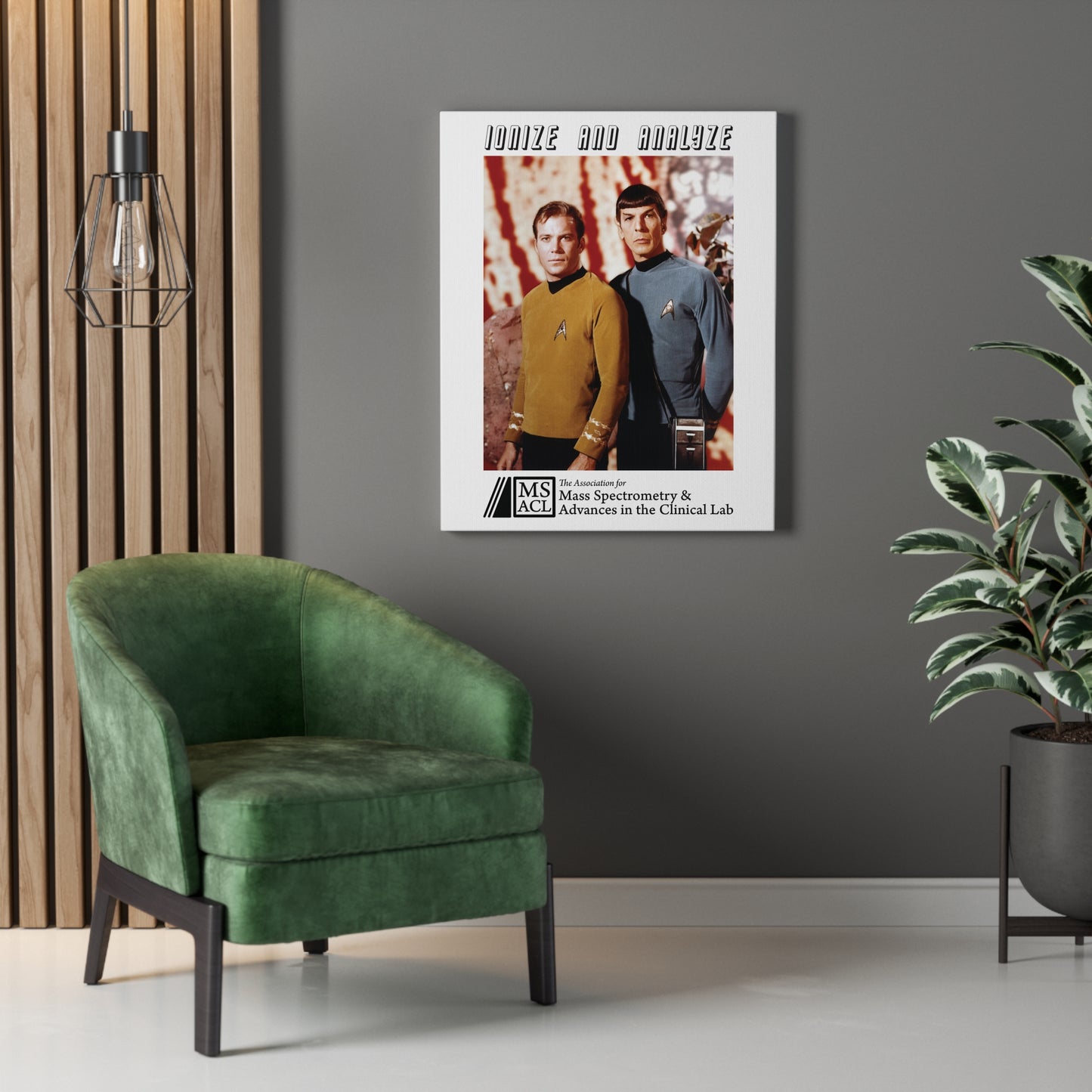"Ionize and Analyze" MSACL Promo Poster on Stretched Cotton Canvas