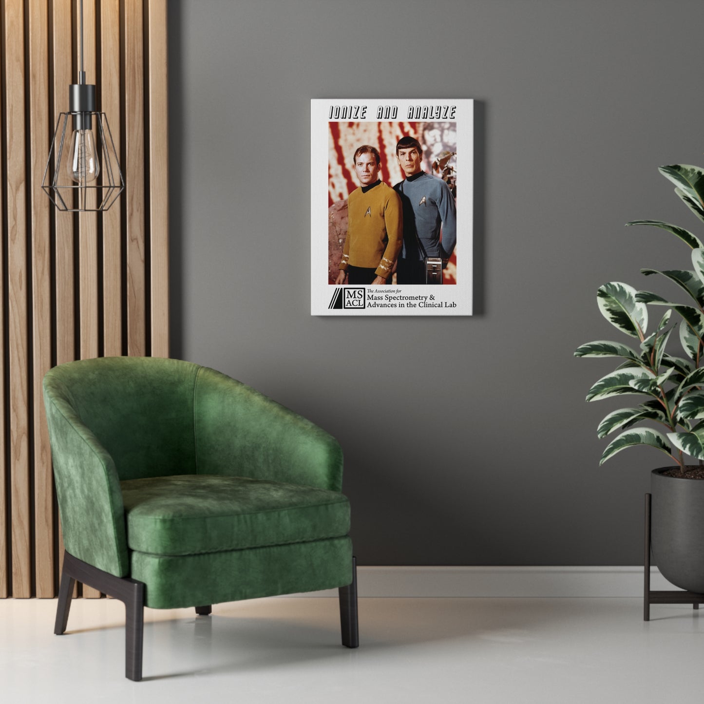 "Ionize and Analyze" MSACL Promo Poster on Stretched Cotton Canvas
