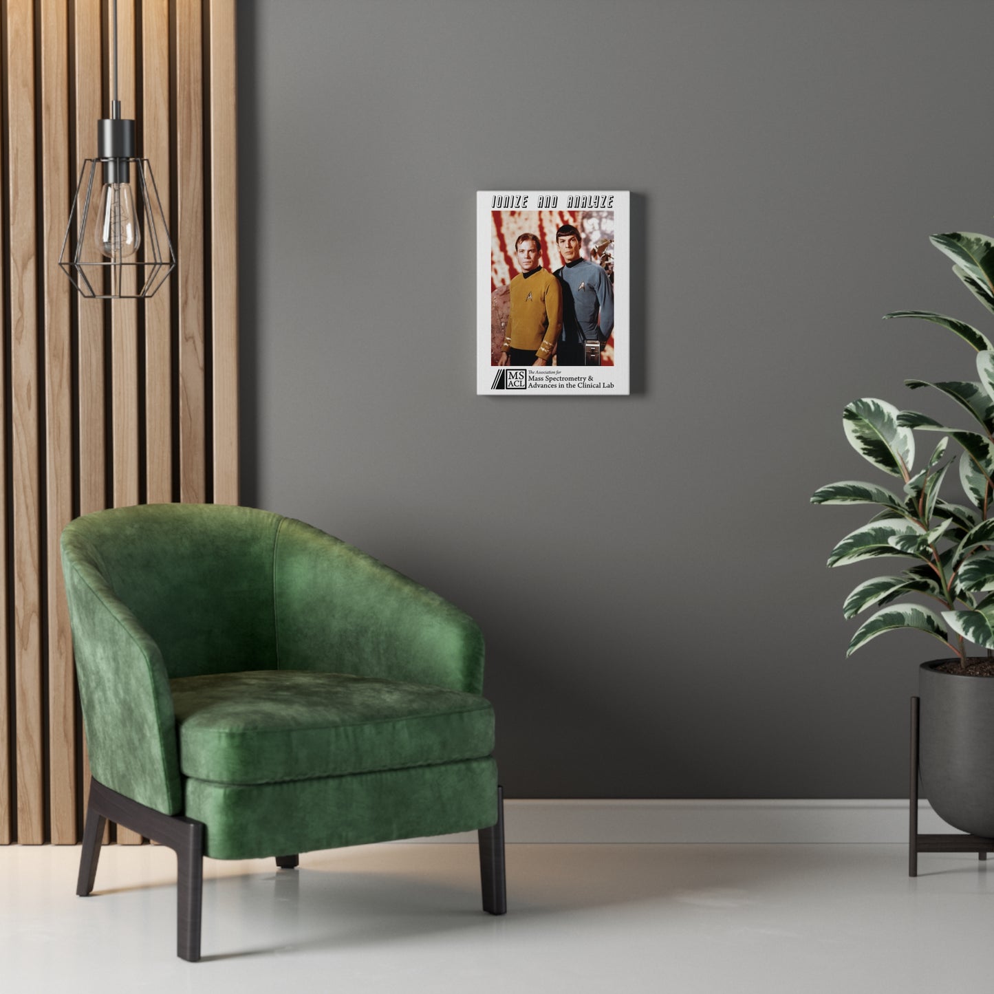 "Ionize and Analyze" MSACL Promo Poster on Stretched Cotton Canvas