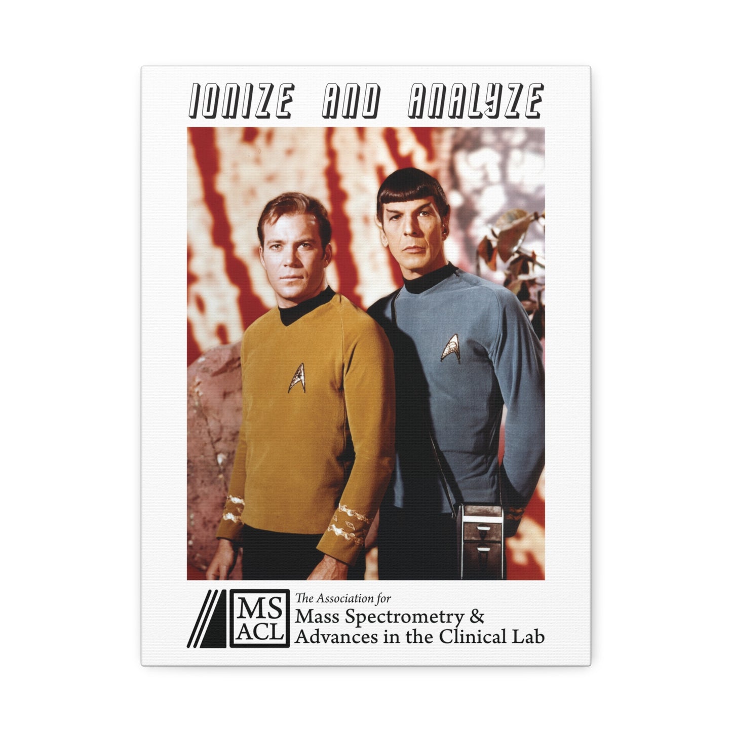 "Ionize and Analyze" MSACL Promo Poster on Stretched Cotton Canvas