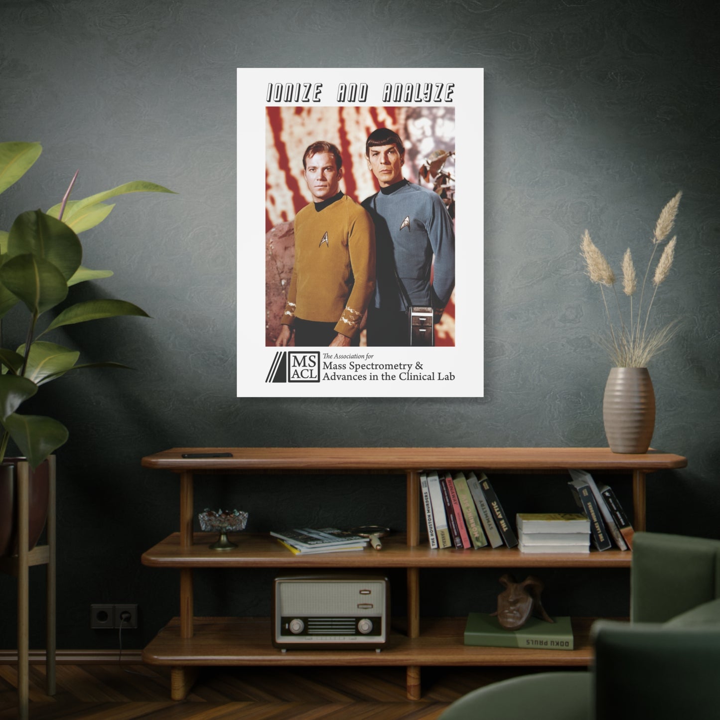 "Ionize and Analyze" MSACL Promo Poster on Matte Cotton/Poly Canvas. 1.25"