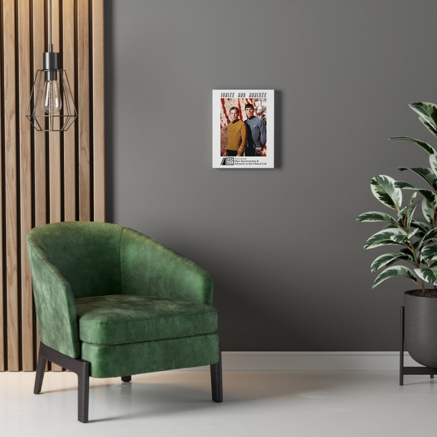 "Ionize and Analyze" MSACL Promo Poster on Stretched Cotton Canvas